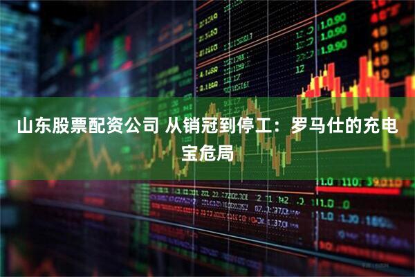 山东股票配资公司 从销冠到停工：罗马仕的充电宝危局