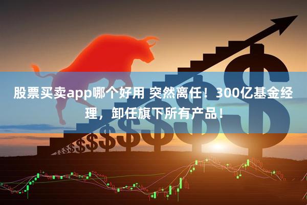股票买卖app哪个好用 突然离任！300亿基金经理，卸任旗下所有产品！